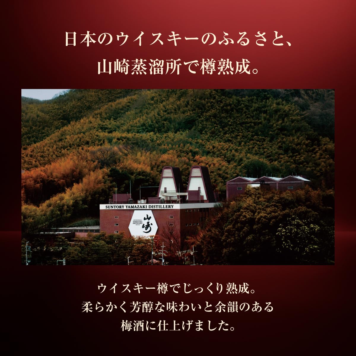 Amazon.co.jp: サントリー梅酒 山崎蒸溜所貯蔵梅酒ブレンド EXTRA